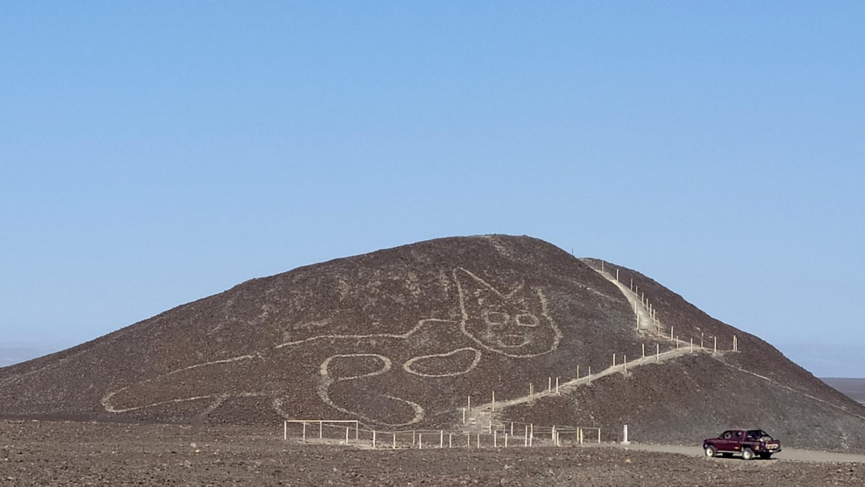 Ce géoglyphe d’un chat aux oreilles pointues d’environ 37 mètres de long a été récemment sorti de l’oubli, ses lignes ayant pu être repérées par un survol de drones.