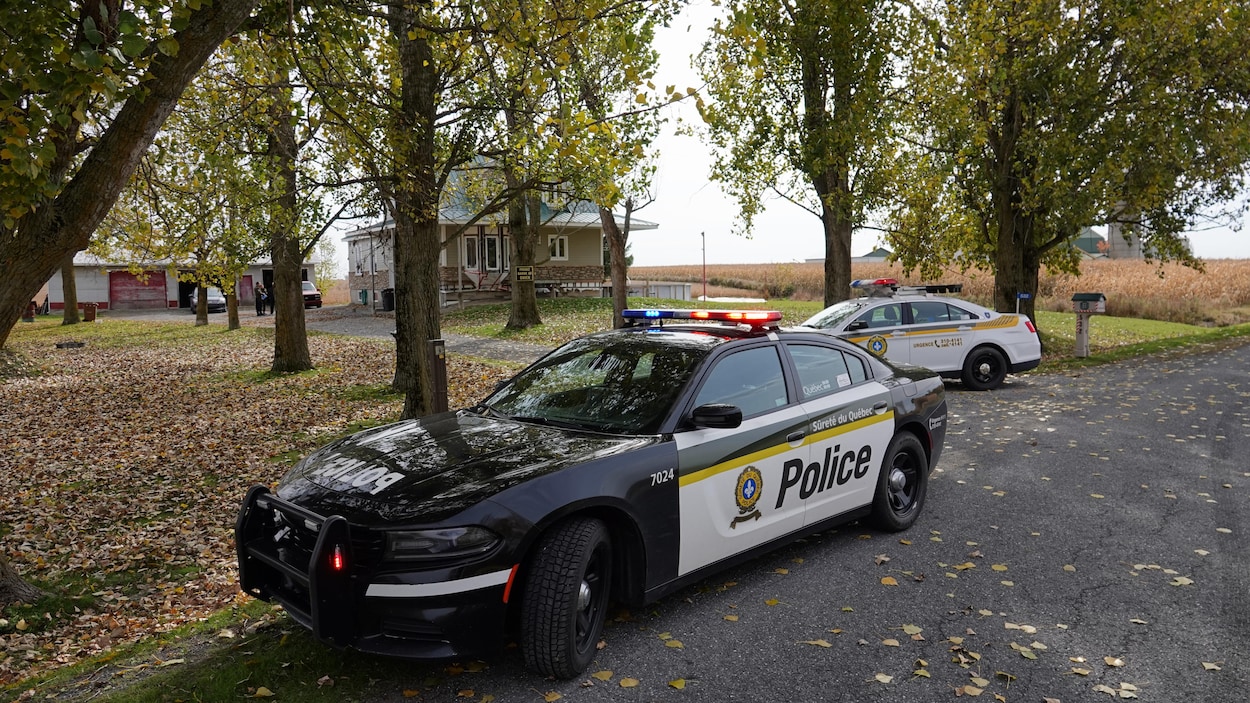 Deux voitures de police devant une allée bordée d'arbres.