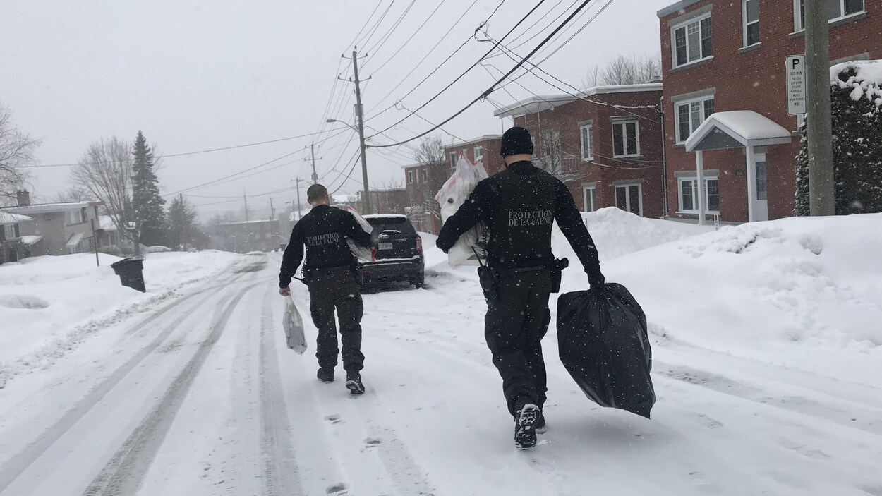 Des agents de la faune ont effectué des perquisitions à Sherbrooke. Des agents de la faune ont effectué des perquisitions à Sherbrooke.