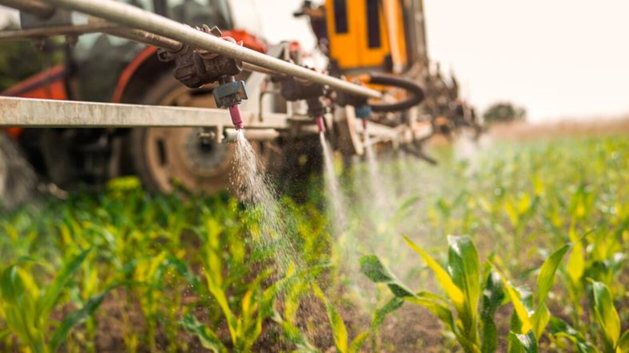 Épandage de pesticides.