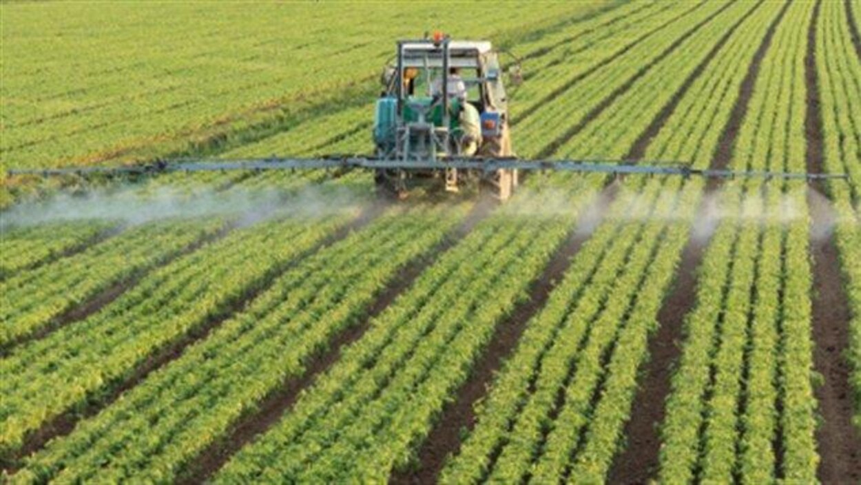 Un tracteur répand des pesticides dans un champ.