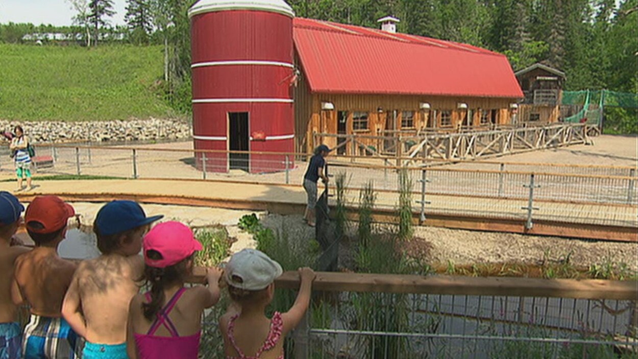 Des enfants regardent la petite ferme.
