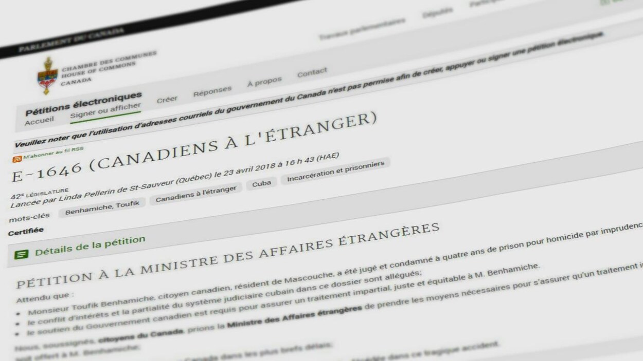 Capture d'écran de la pétition.