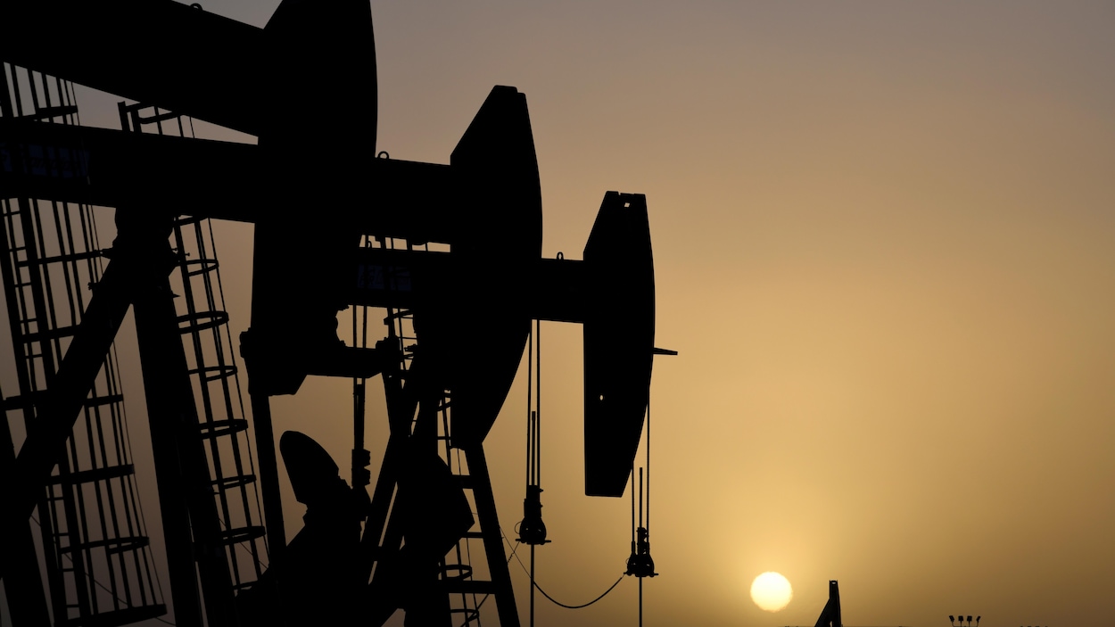 Des pompes installées sur des puits de pétrole.