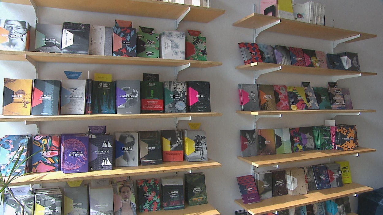 Éditions du Bouclier à Chicoutimi : écrit et illustré par des humains, pas par l’IA