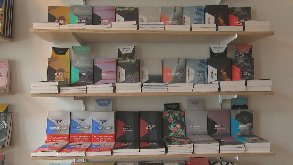 Des livres sont exposées sur les tablettes d'une librairie.