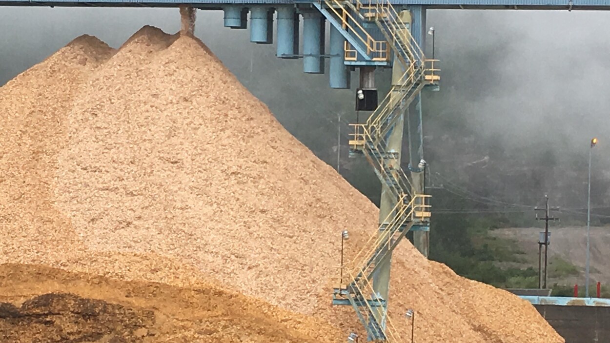 Une montagne de copeaux de bois et des escaliers.