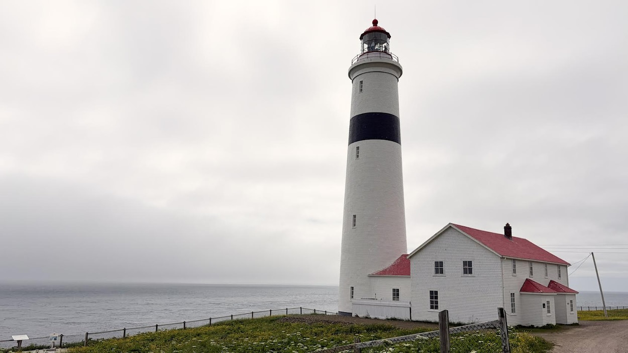 Des naufrages aux fossiles : l’étonnante histoire du phare de Point Amour