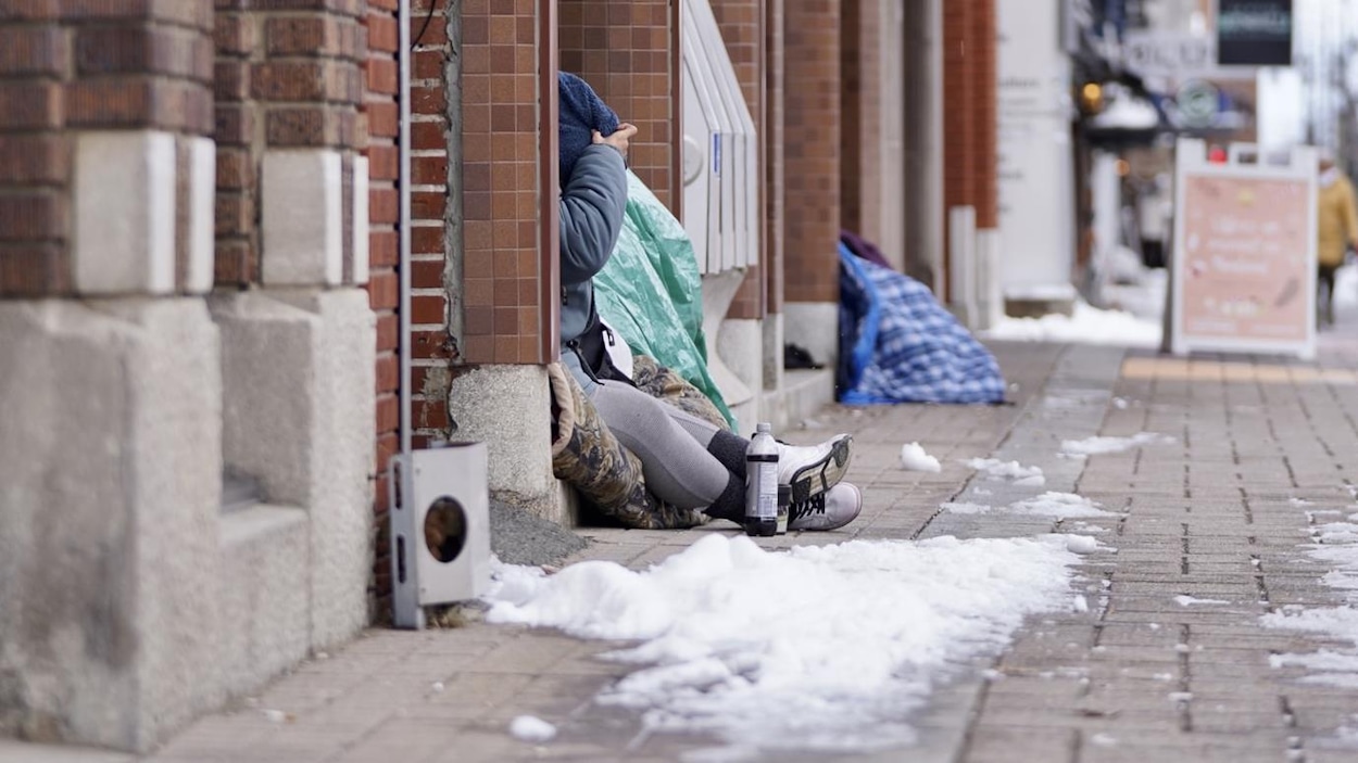 Itinérance : un projet de 20 minimaisons annoncé à Trois-Rivières