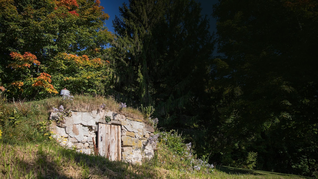 Caveaux à légumes : sur la route des frigos de nos ancêtres