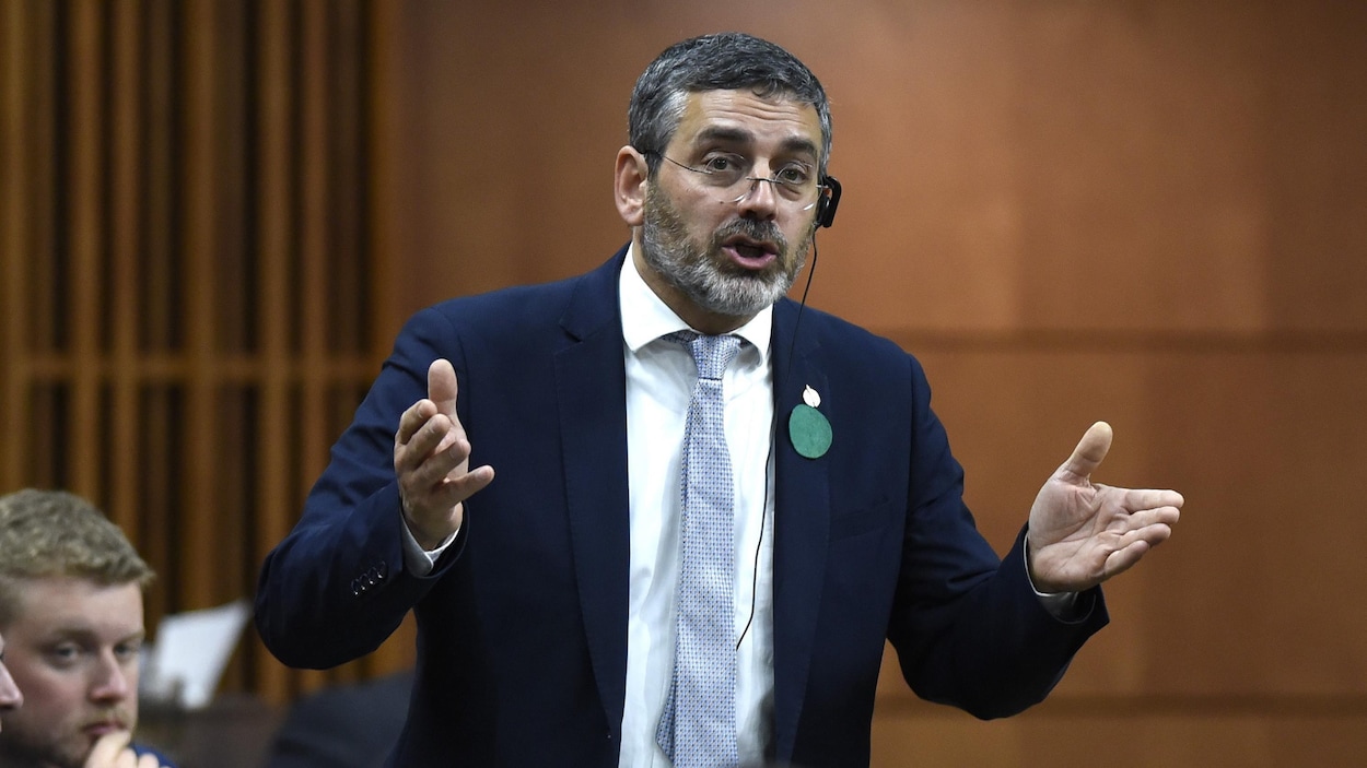 Le député du NPD Pierre Nantel s'exprime lors de la période des questions à Ottawa.