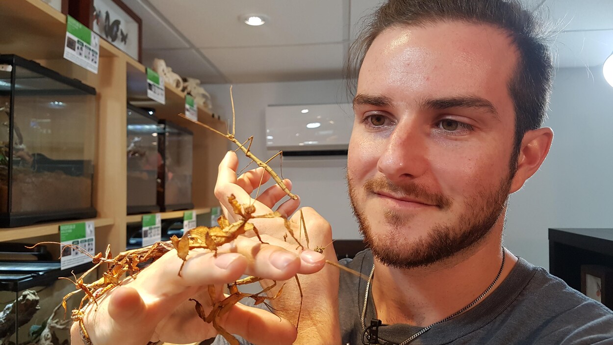 L'entomologiste Pierre-Olivier Ouellet.
