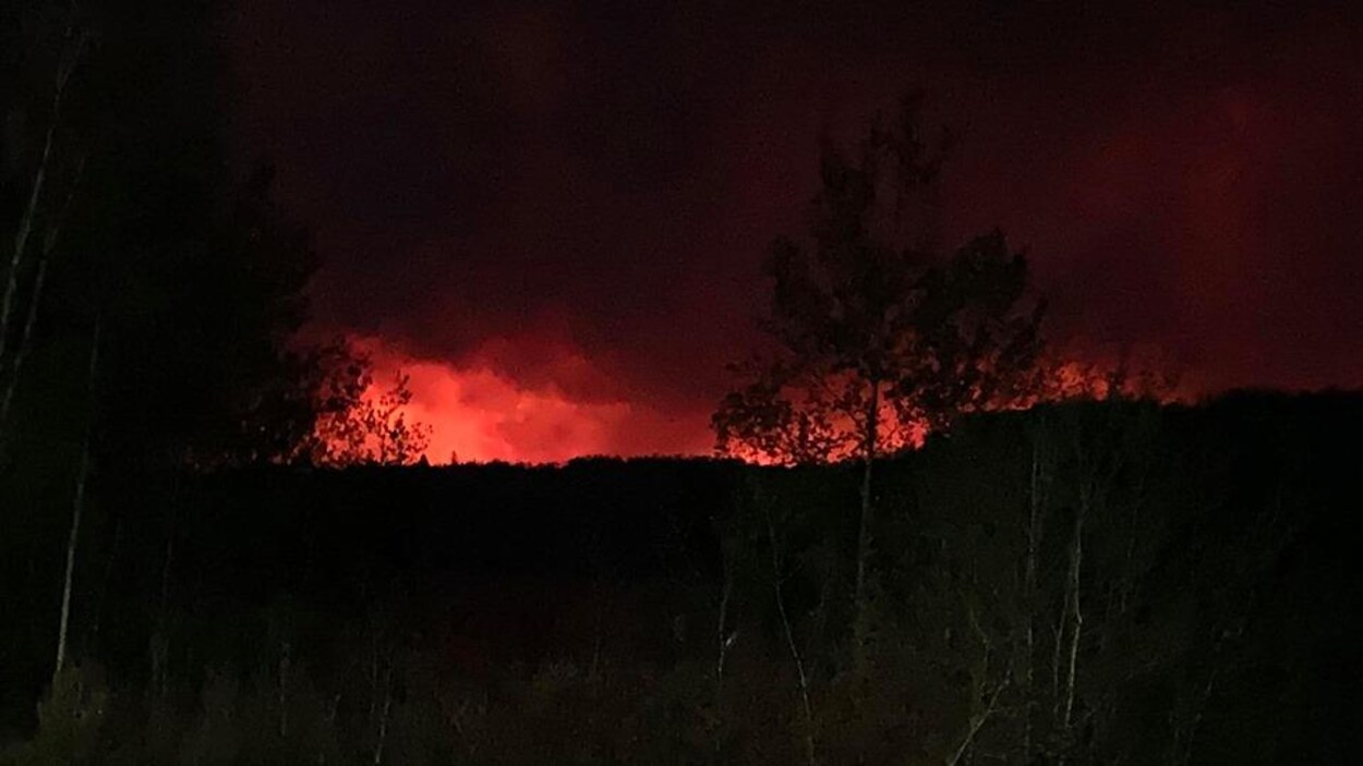 Un incendie de forêt la nuit.