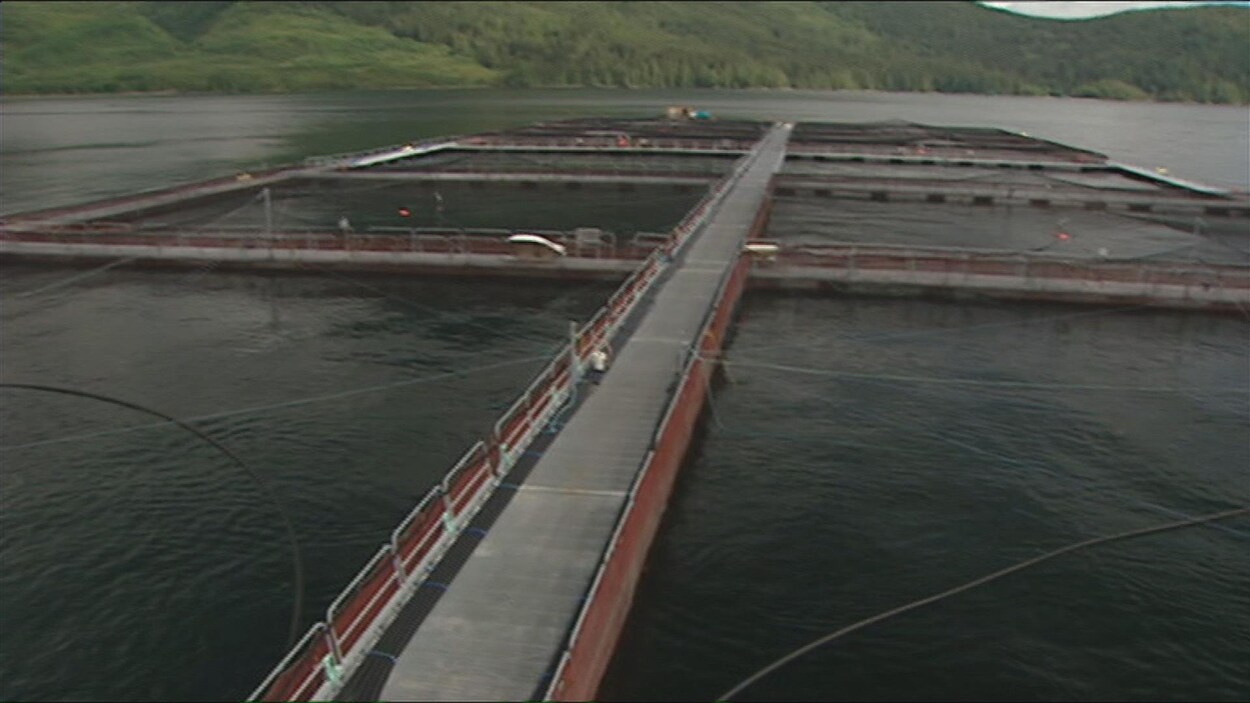 Des installations d'une pisciculture Des installations d'une pisciculture