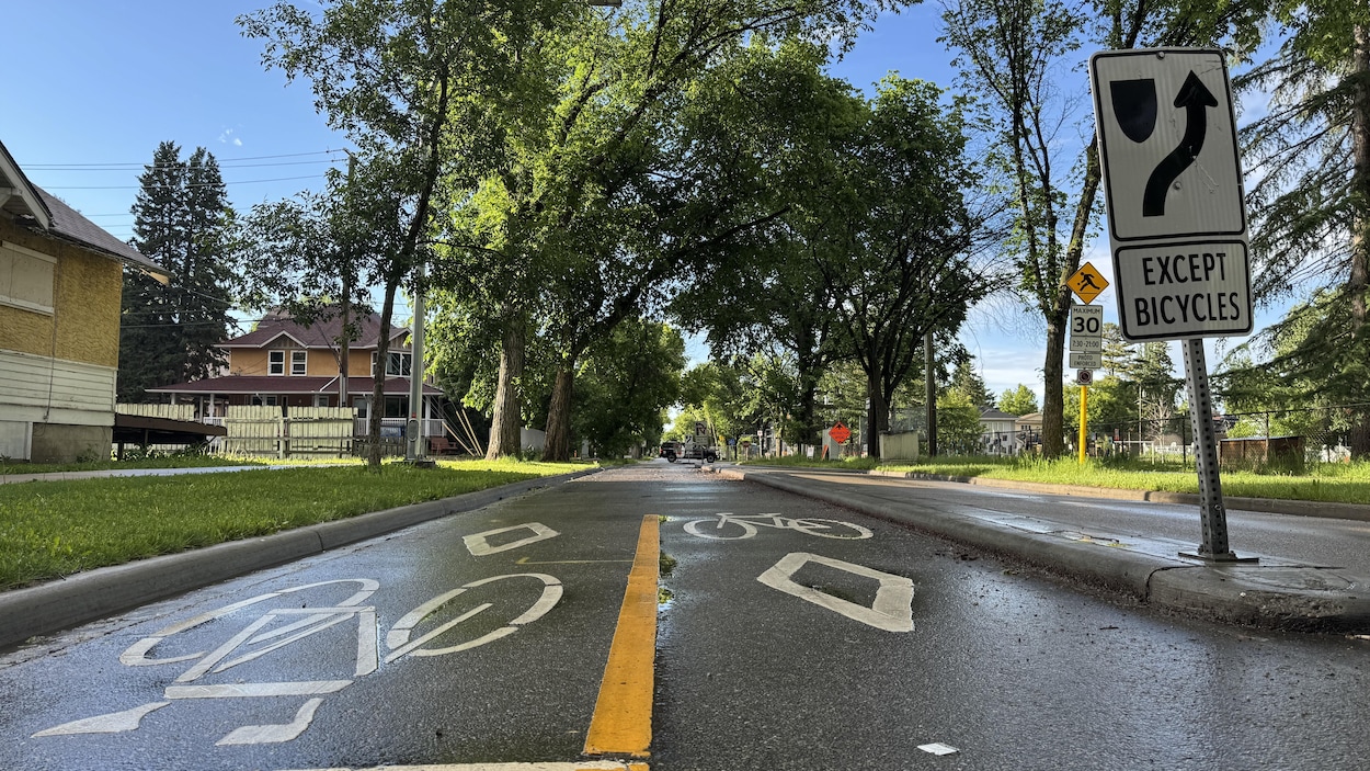 L’Alberta veut revoir des réseaux cyclables municipaux