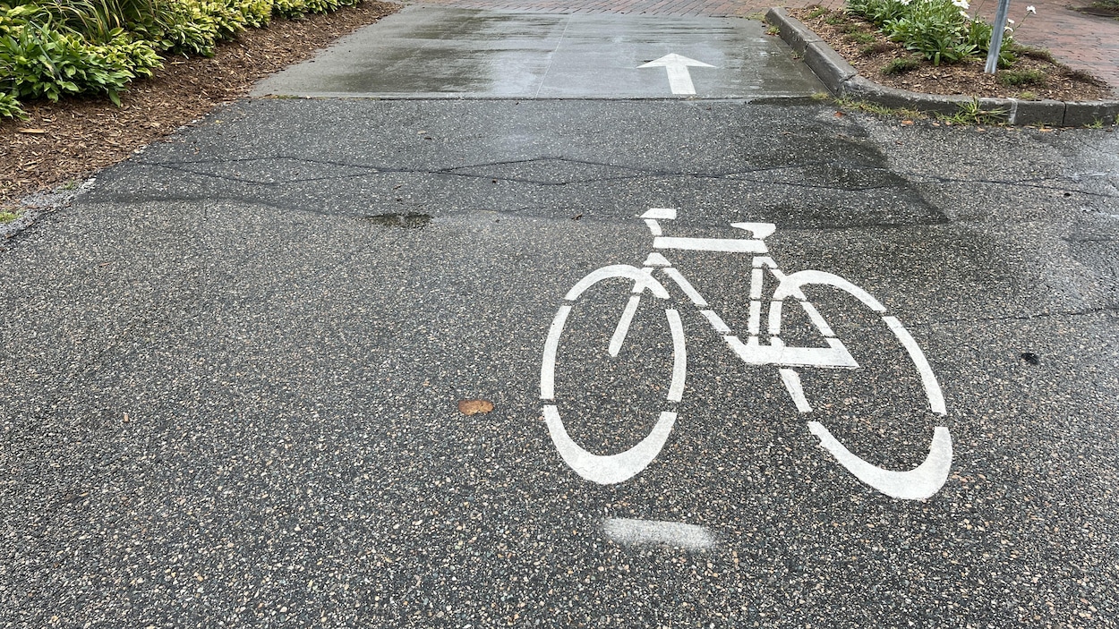 Une piste cyclable sera aménagée sur Portland cet été, même sans consultation publique
