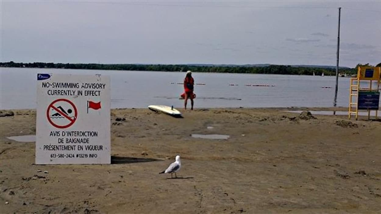 Un panneau indique que la plage Britannia est interdite à la baignade Un panneau indique que la plage Britannia est interdite à la baignade