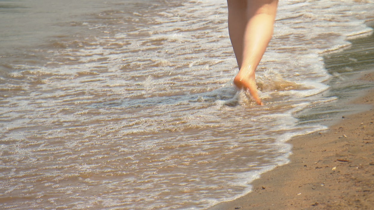 Québec abolit le programme Environnement-Plage pour suivre la qualité de l’eau