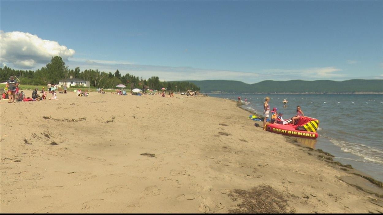 De nombreuses personnes se baignent à la plage Haldimad, à Gaspé.