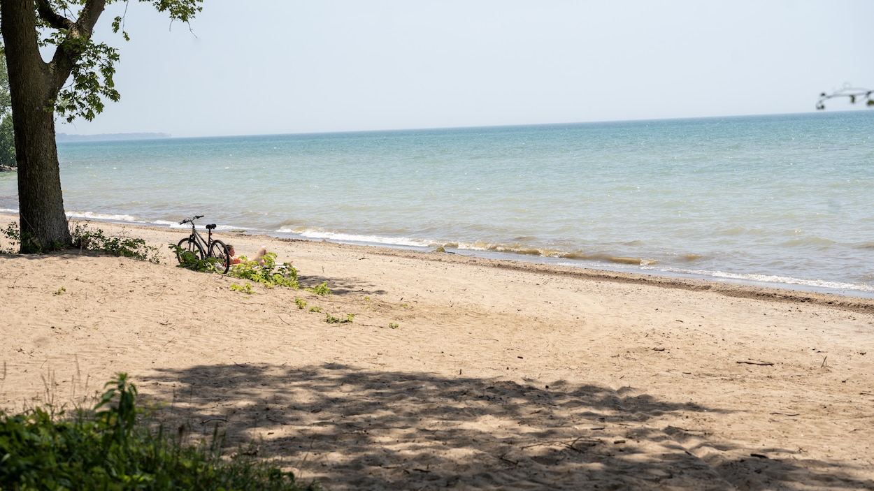 Plages de Windsor-Essex : comment savoir si l’eau est propice à la baignade?