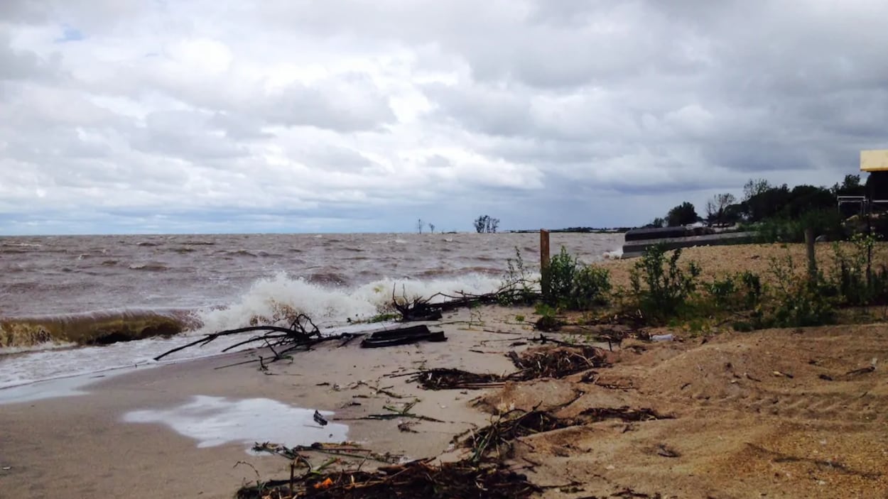 Une vague s'échoue sur une plage.