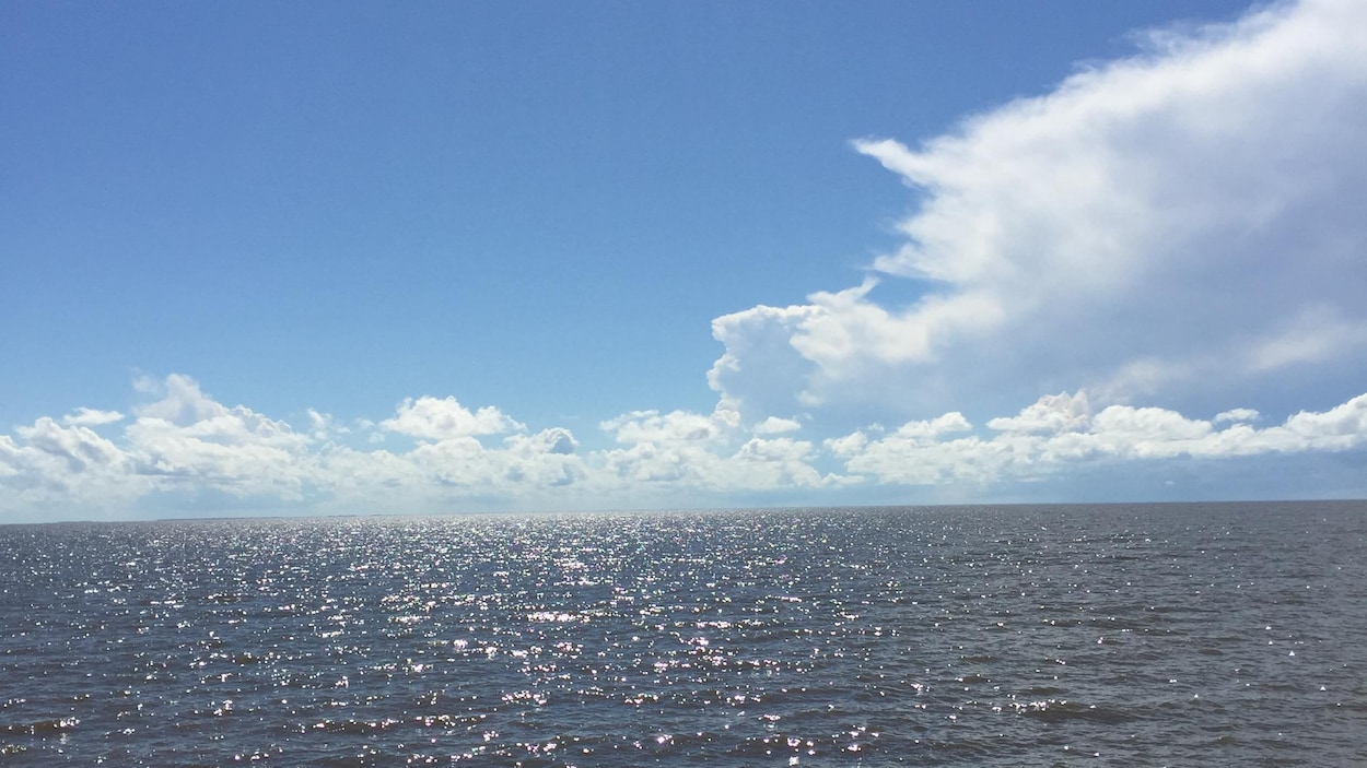 25-m-pour-prot-ger-le-lac-winnipeg-radio-canada-ca