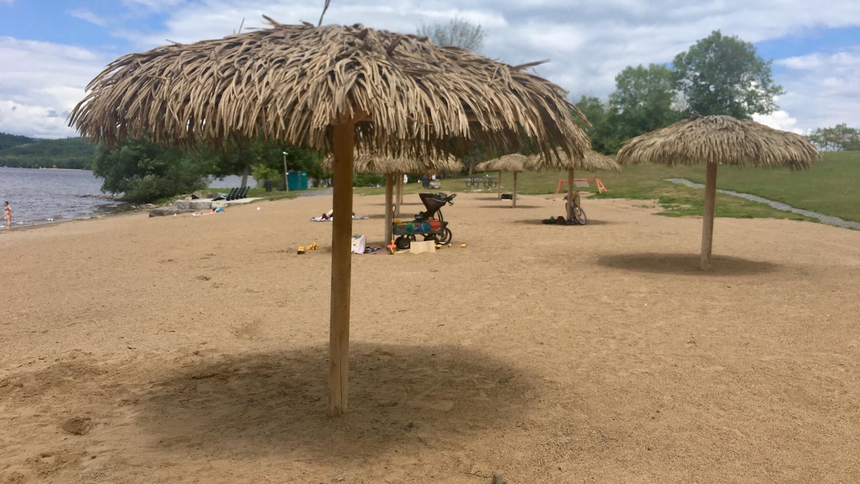 Une plage avec des palapas, des parasols de chaume d'inspiration mexicaine.