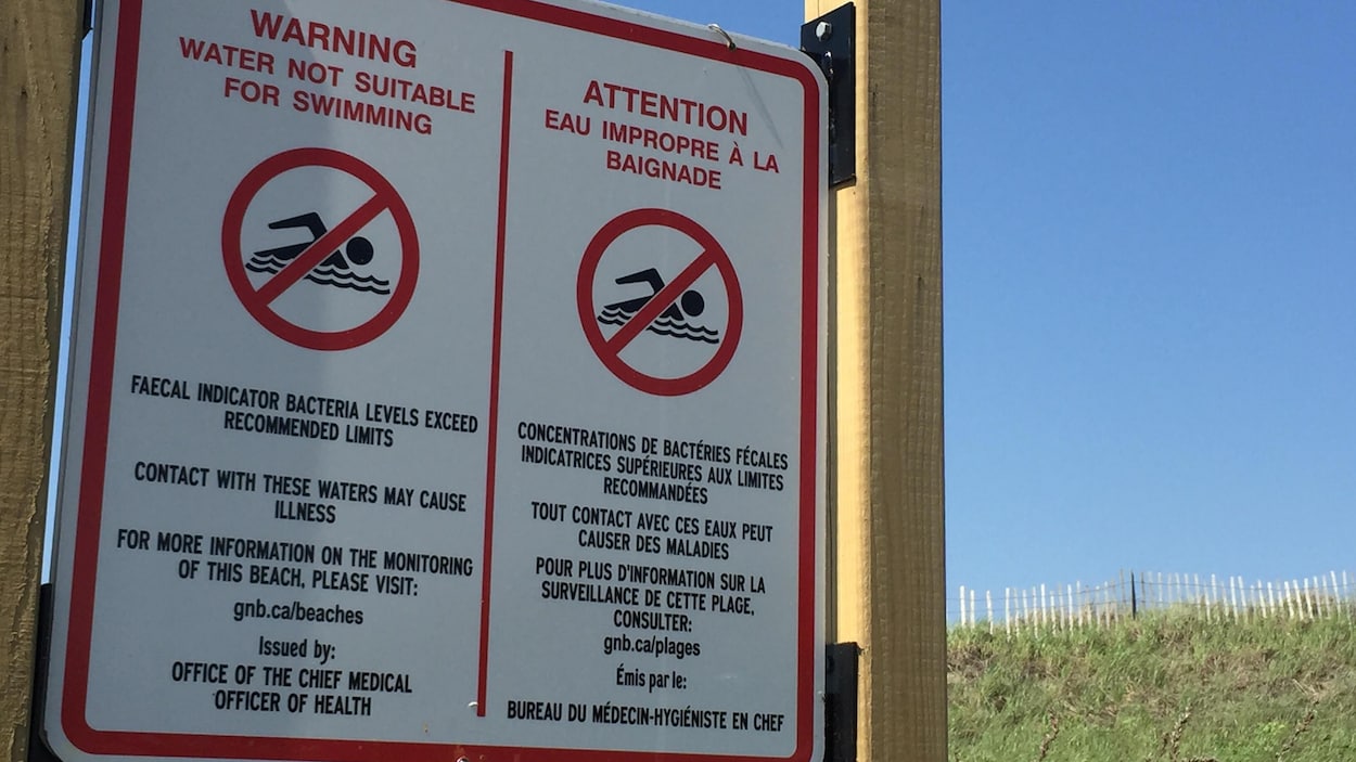 Qualité de l’eau : pas de tests rapides à la plage Parlee cet été