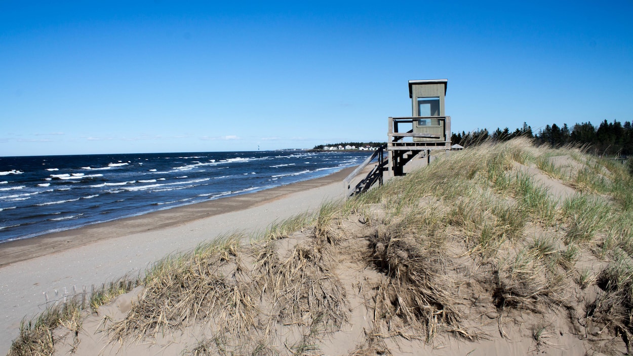 Des citoyens et des organismes s’unissent pour protéger la baie de