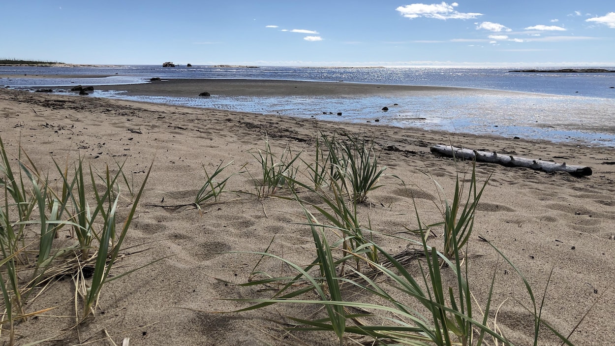Recharge de la plage Rochelois : Port-Cartier veut répondre aux inquiétudes
