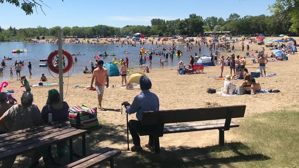 Présence De La Bactérie E Coli Au Parc Provincial De Saint