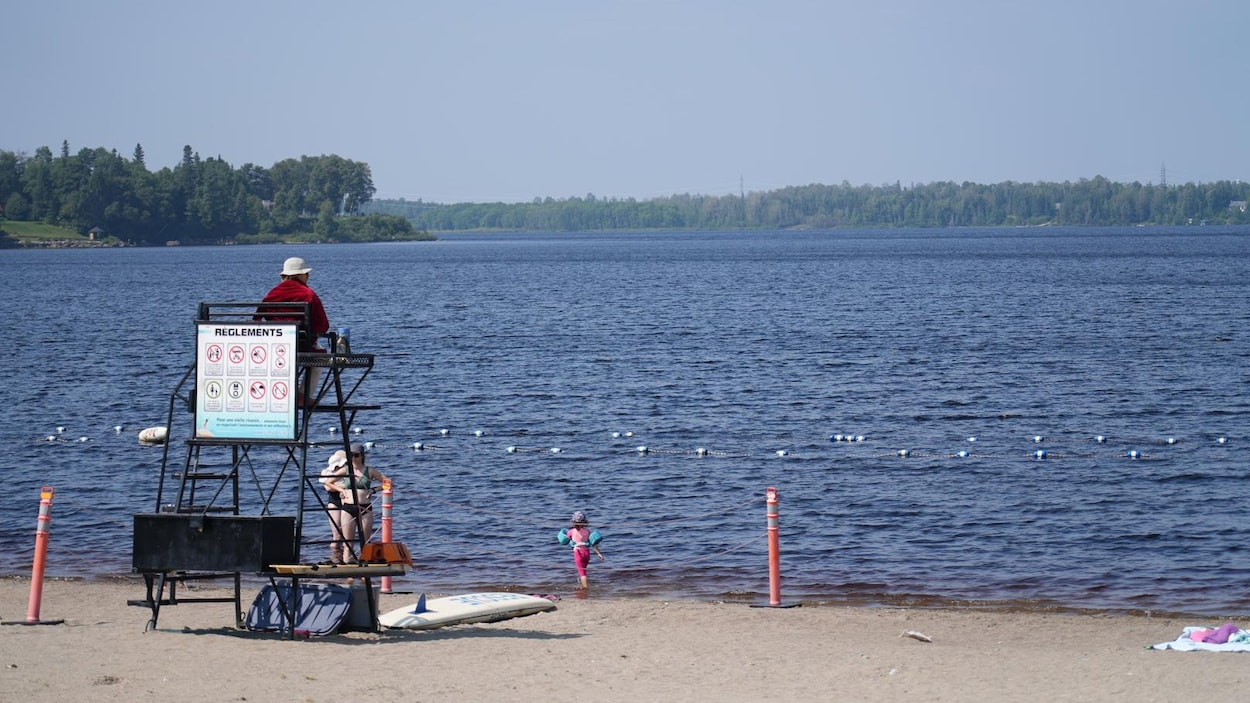 Algues bleu-vert : Val-d’Or interdit la baignade à la plage Rotary