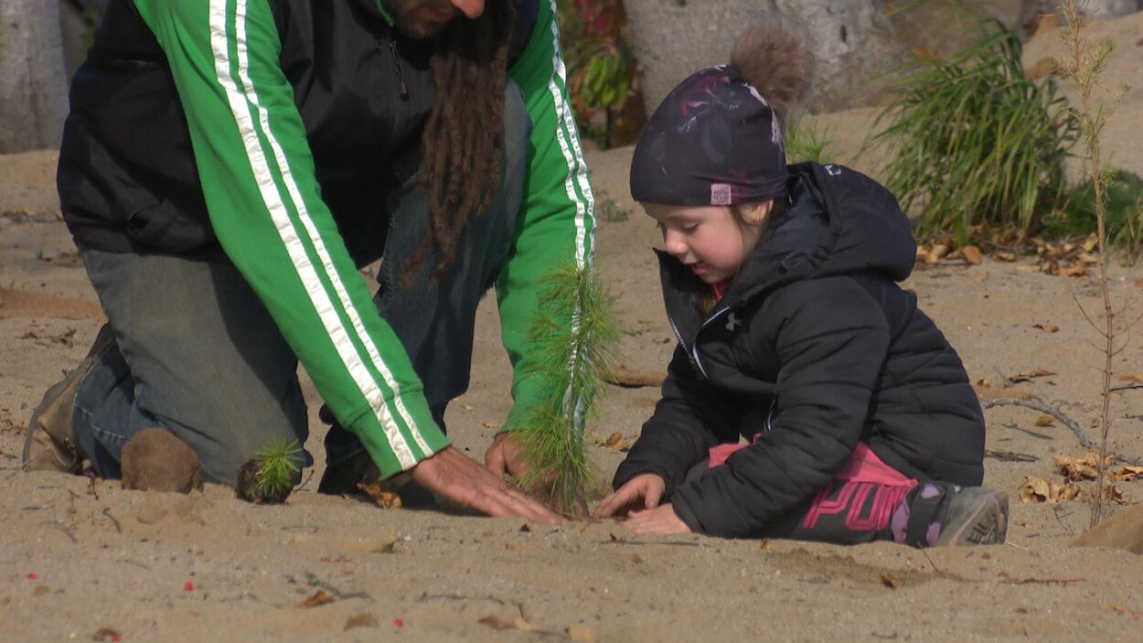 Avec l'aide d'un homme, une fillette tapote la terre autour d'un petit arbre.