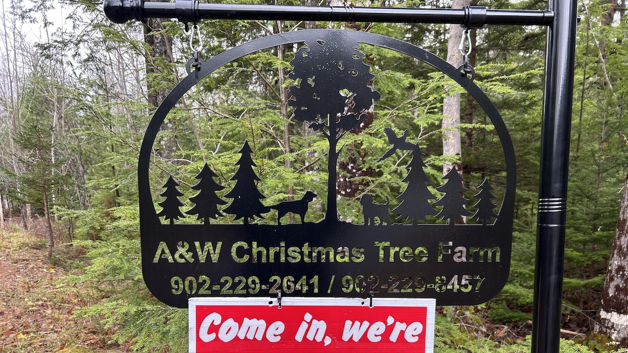 Mon beau sapin va-t-il être moins beau cette année?