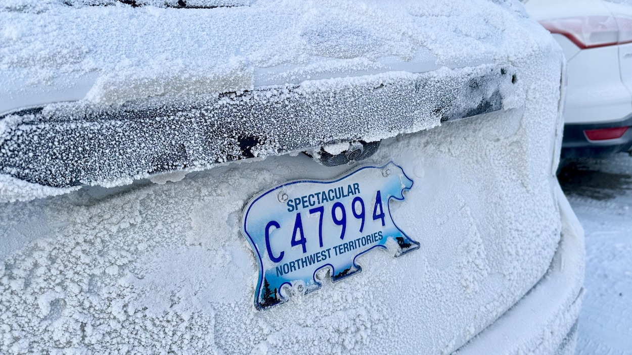 Les plaques d’immatriculation en forme d’ours polaire des T.N.-O : mythiques depuis 1970