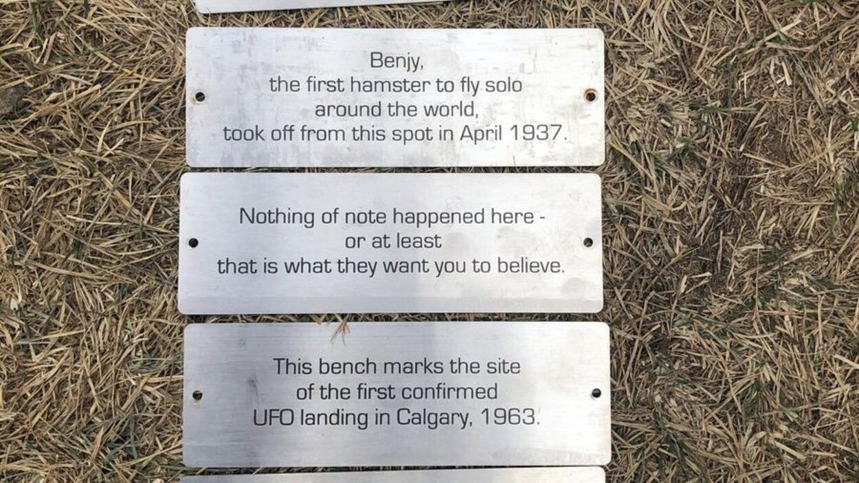 Les six plaques posées sur l'herbe.