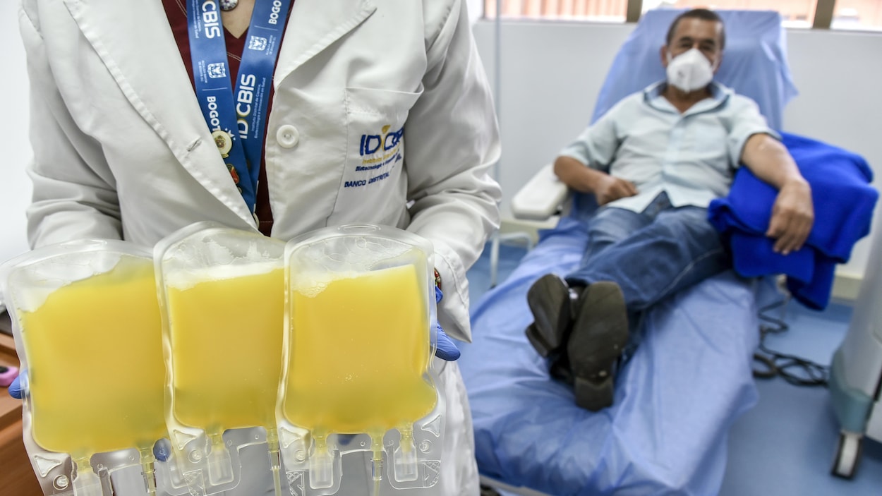 Une femme tient entre ses mains trois sacs de liquide jaune. En arrière-plan, le donateur de ce plasma sanguin est couché sur un lit d'hôpital.
