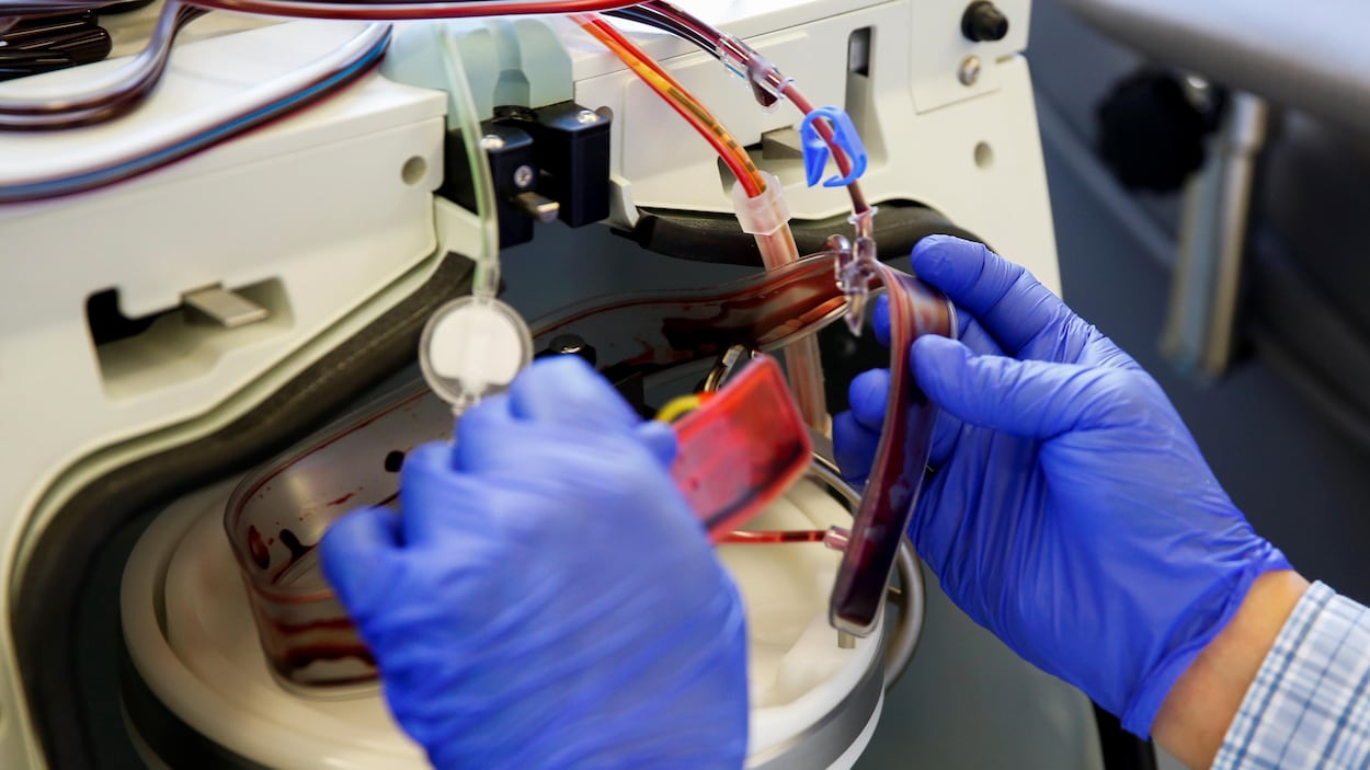 La transfusion de plasma de patients guéris de la COVID19 peu efficace