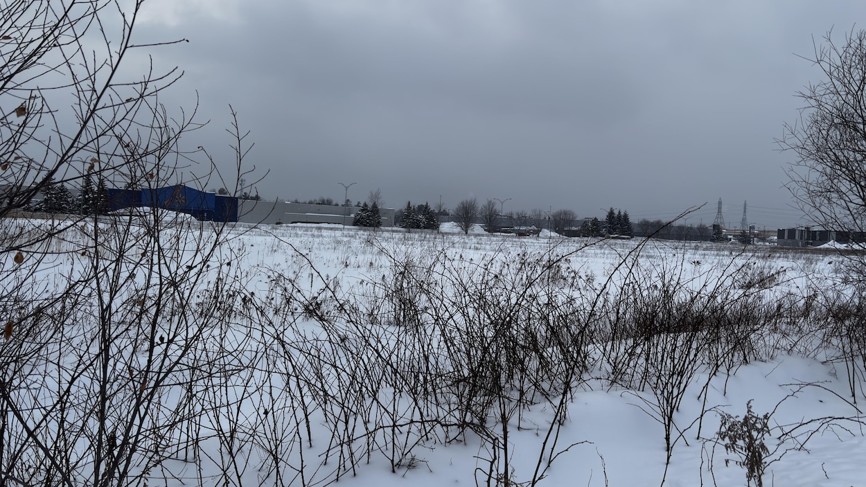 Les terrains du futur manège militaire achetés trois fois plus cher que leur évaluation