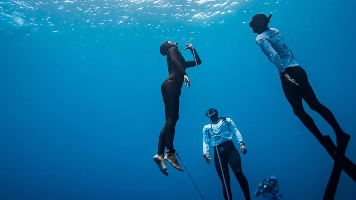 Apprenez tout sur l'ajustement du poids en plongée sous-marine et profitez  de l'aventure ! - Blog voyage et plongée sous marine autour du monde