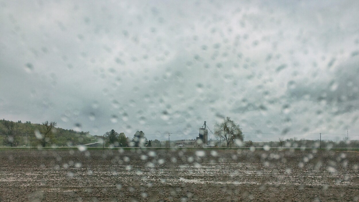 Un champ agricole rempli d'eau.