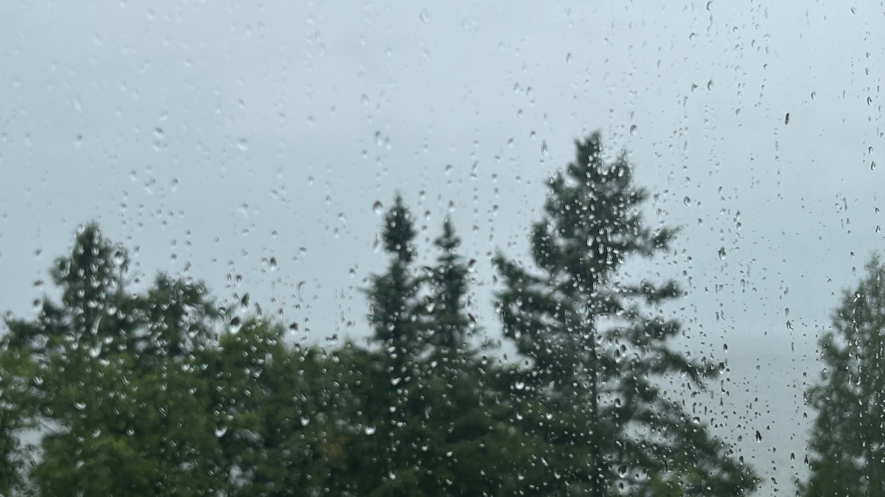 Un recul marqué de la sécheresse au Nouveau-Brunswick