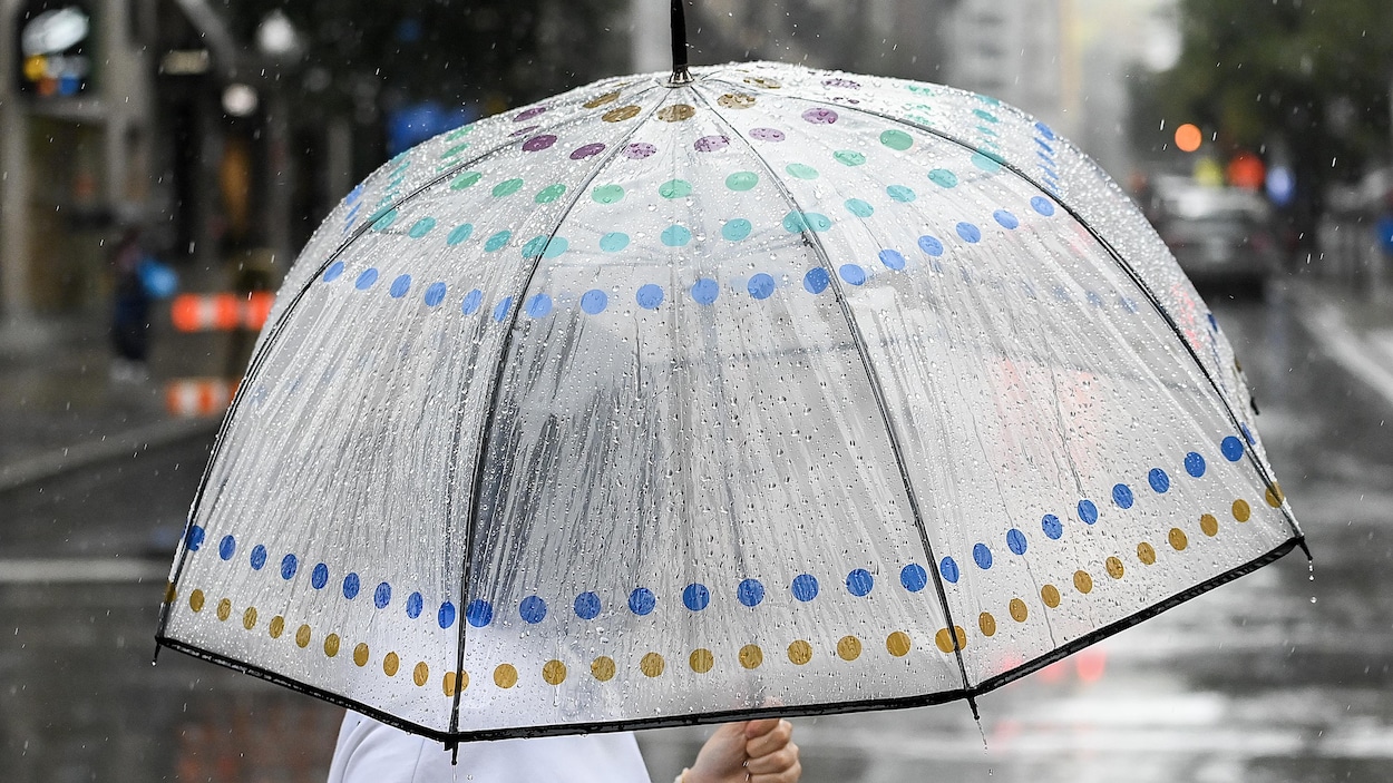 Les Restes De La Tempête Tropicale Debby Attendus Vendredi à Québec ...