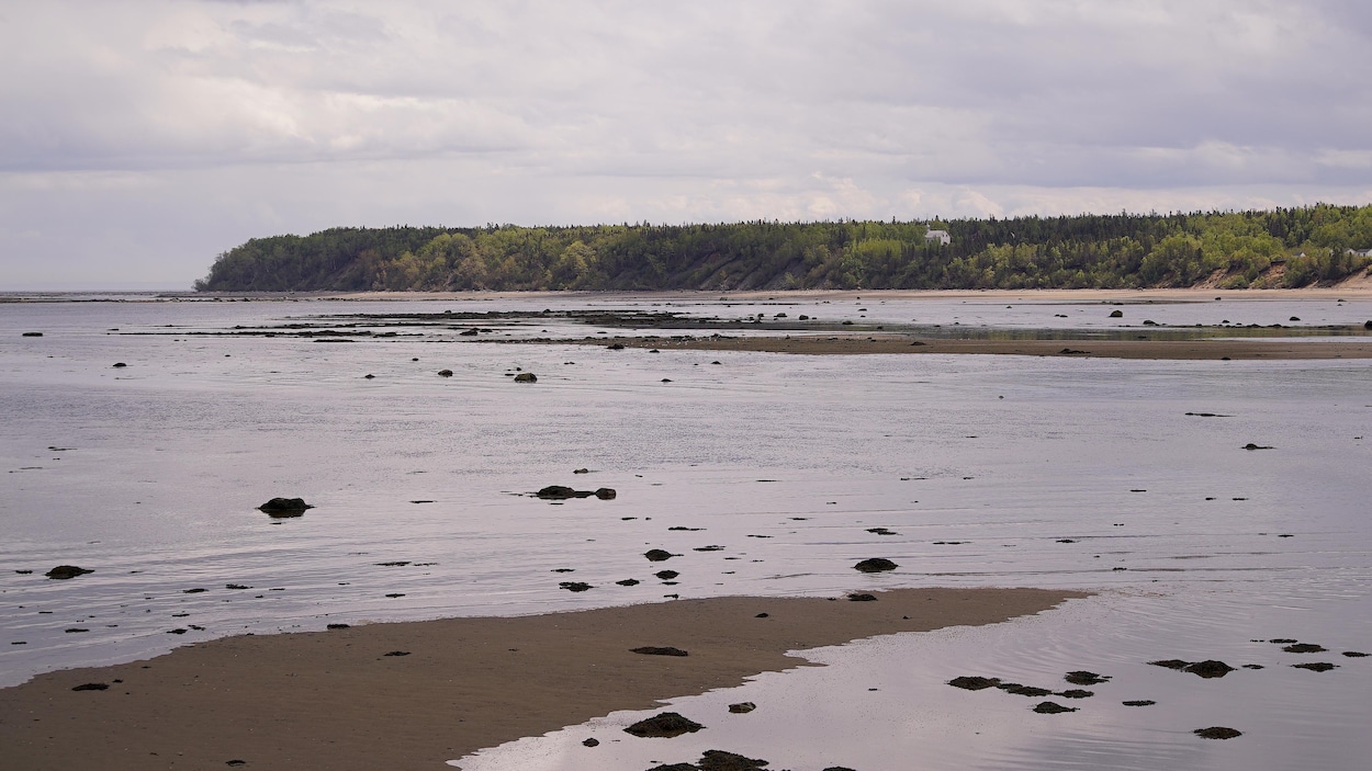 Une pointe historique à mettre en valeur à BaieSainteCatherine RadioCanada.ca