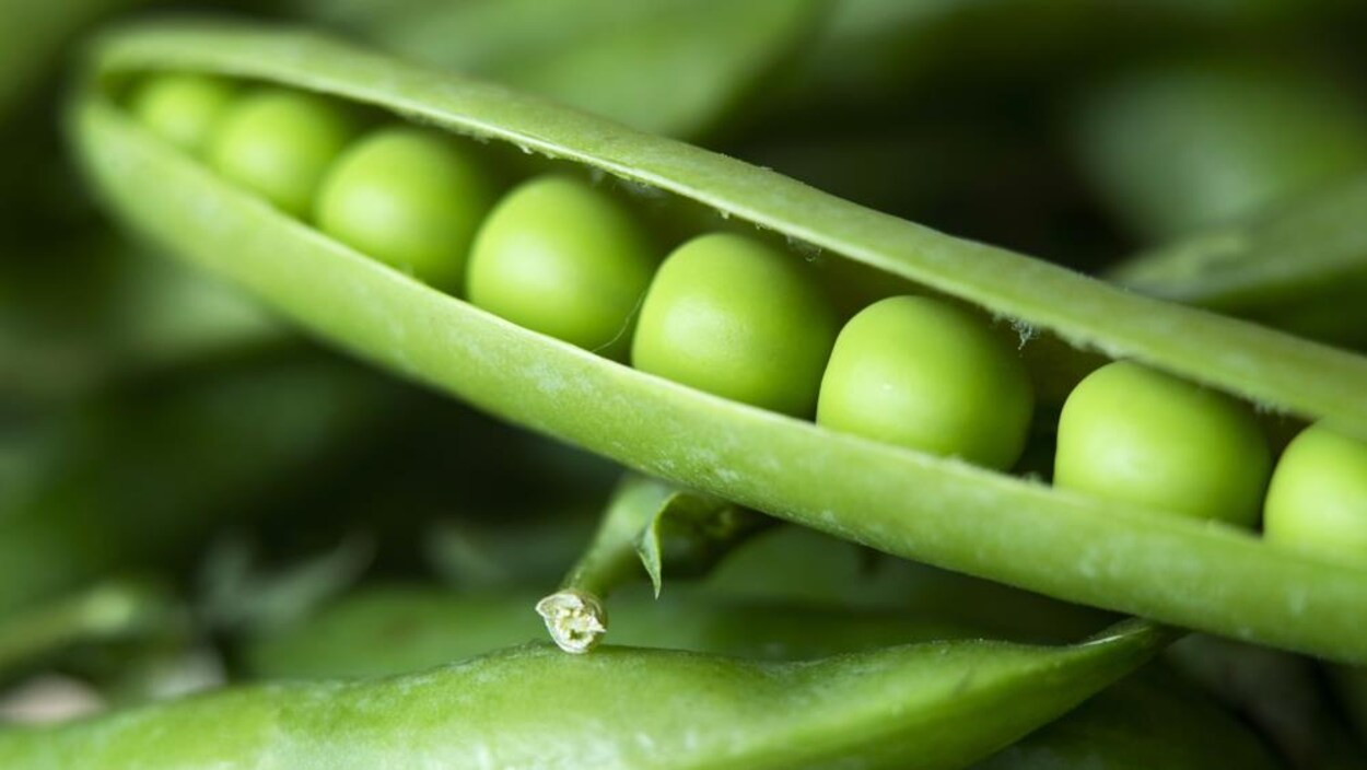 Des pois verts.