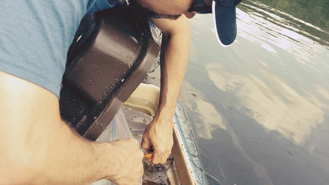 Un homme retire un poisson d'un piège.