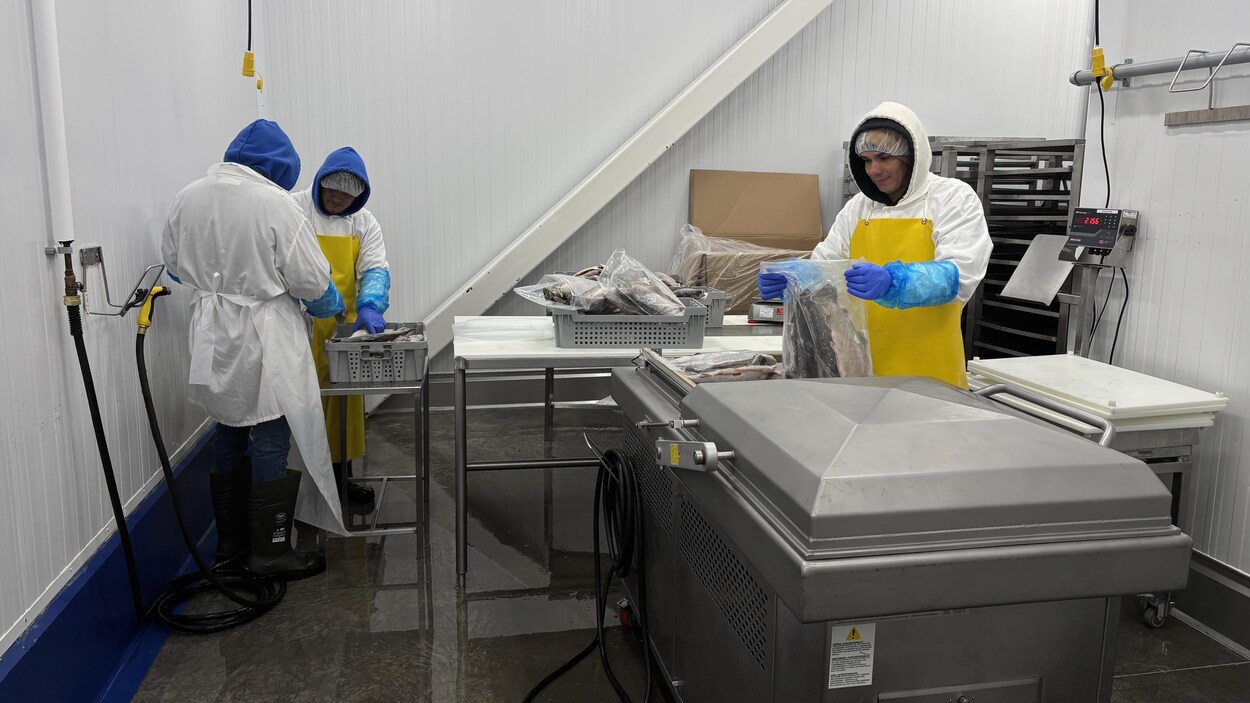 Une entreprise de Bécancour menacée par la baisse des seuils d’immigration