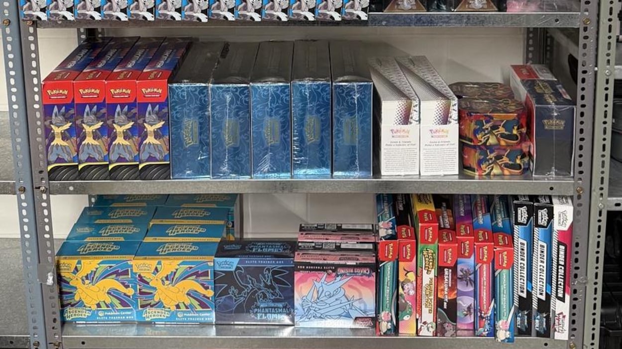 Crime organisé : 40 000 $ de cartes Pokémon saisies en Alberta