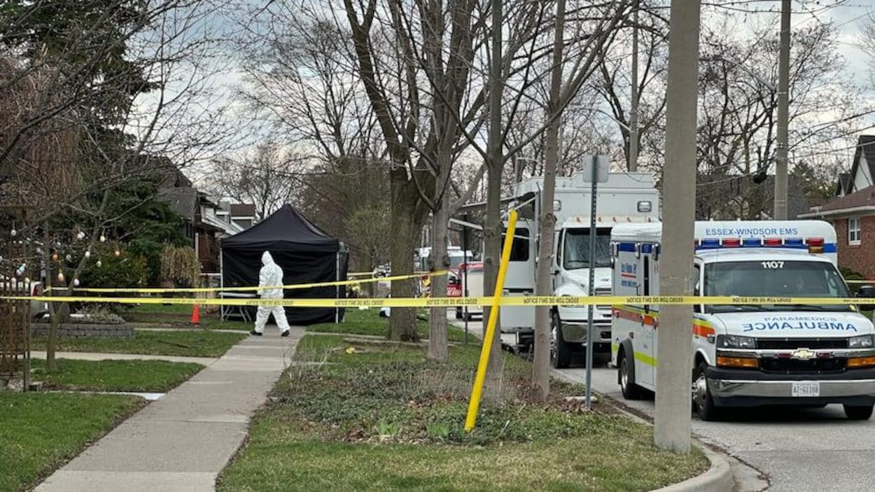 Windsor : un homme interpellé après sept heures de négociations