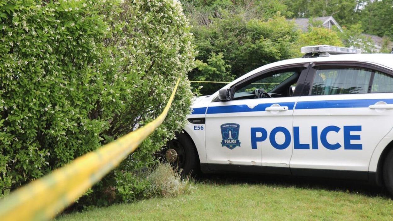 Une voiture de police stationnée avec le devant dans une haie.